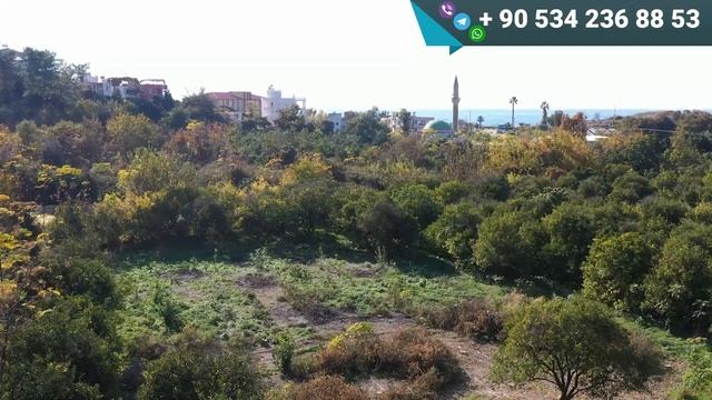 ИМЕННО ТАКИЕ квартиры в Турции купить стоит СЕЙЧАС НЕДВИЖИМОСТЬ в Турции 2023 выгодная инвестиция