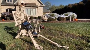 Хэллоуин в Америке | Традиции и история праздника HAllOWEEN