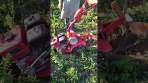 выдалась свободная минутка.сделал пропольники типа ёж.