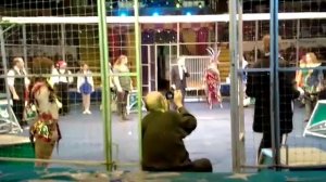 Окончание в Донецке "В Созвездии Льва"