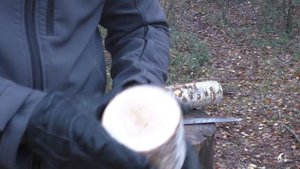 Тест складной пилы SAMURAI MP-240MH