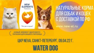 WATER DOG соревнования 09.04.2022 г.