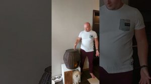 Плетёный домик для кошки и кошки #домдлякота #мебельдляживотных #длякошек #домикдлясобаки #teddyroo