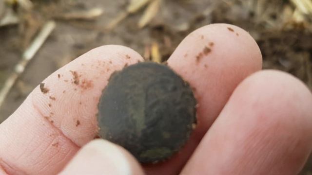 КОП 3 И 3 СЕРЕБРУШКИ НА ПОЛЕ !!! смотреть онлайн