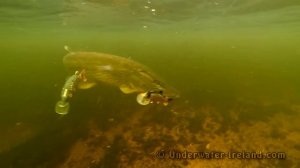 Fishing big pike attack lures underwater: Mike vs Tommy. Рыбалка щука атака.