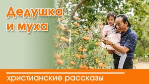 Дедушка и муха - ИНТЕРЕСНЫЙ ХРИСТИАНСКИЙ РАССКАЗ | Христианские рассказы