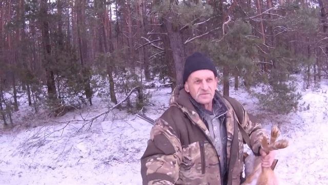 Охота на зайца. Закрытие сезона охоты 2022-2023 в Беларуси.