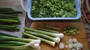 Зелёный лук- заготовки.