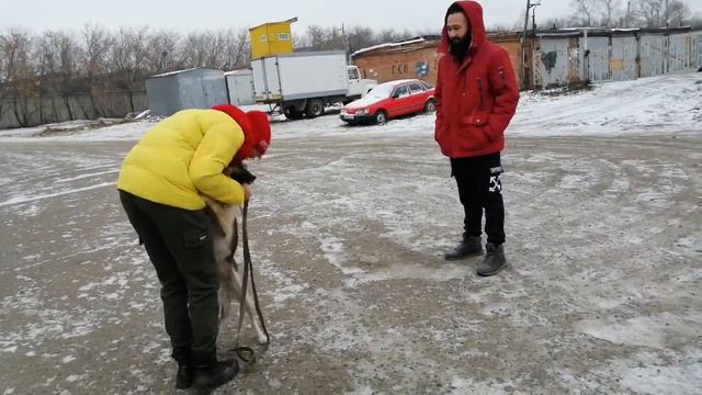 Второй шанс у ЛЕИ и её хозяев смотреть онлайн