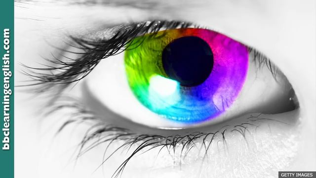 How your eyes predict your personality - 6 Minute English смотреть онлайн