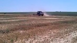 Уборка пшеницы2015