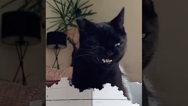 Настоящий чёрт