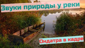 Звуки природы у вечерней реки