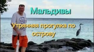 Мальдивы в ноябре. 5 серия. Утренняя прогулка по острову Fihalhohi.