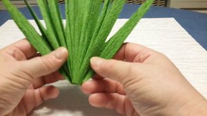 ЛИСТЬЯ  ПАЛЬМЫ  ИЗ  ГОФРИРОВАННОЙ  БУМАГИ...