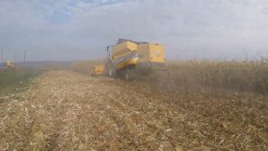 Жатка для уборки кукурузы ЖК 82 TM JOHN GREAVES на полях Украины!