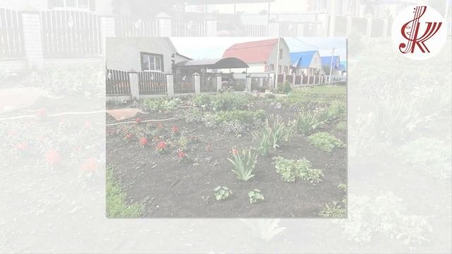Видео – презентация «Благоустройство- 2023 год» сельское поселение Шишкинский сельсовет