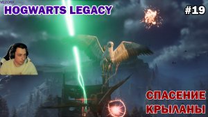 ГИППОГРИФ КРЫЛАНА! СПАСЕНИЕ! ► Hogwarts Legacy #19