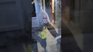 Партенит, таунхаус посуточно с гаражом и двориком, 89780420360