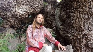 Иван Царевич у 1000-летнего древа в Никитском Ботсаду, Крым