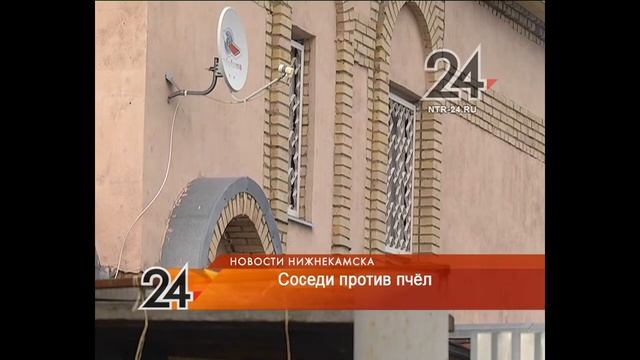 пчелы мешают жить смотреть онлайн