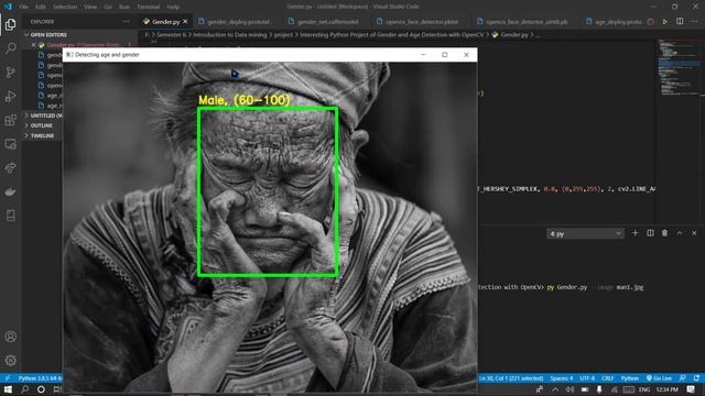 Python Project of Gender and Age Detection with OpenCV смотреть онлайн