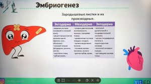 Онтогенез-индивидуальное развитие организма. Эмбриогенез и постэмбриогенез. ЕГЭ по биологии.