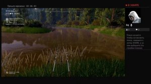 уникальный бурый Паку р.Маррон