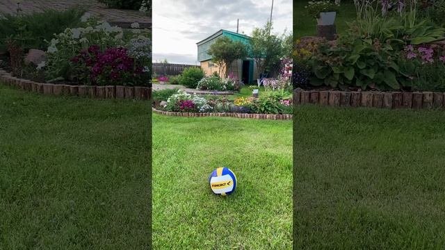 Дивный сад.?(wonderful garden)