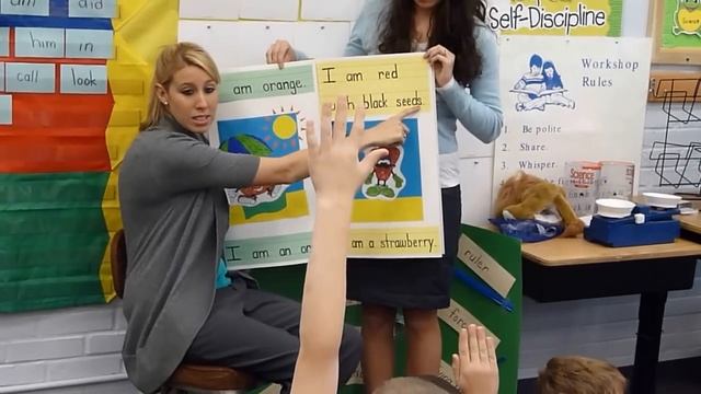 Teaching with Shared Reading of a Big Book смотреть онлайн