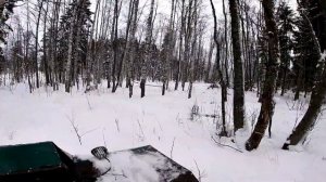 ОДИН НА ВЕЗДЕХОДЕ ( КАРАКАТЕ )ПО ЗИМНЕЙ ТАЙГЕ.