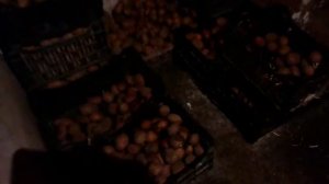 Дверь в подвал своими руками #3