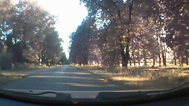 Корова на капоте смотреть онлайн