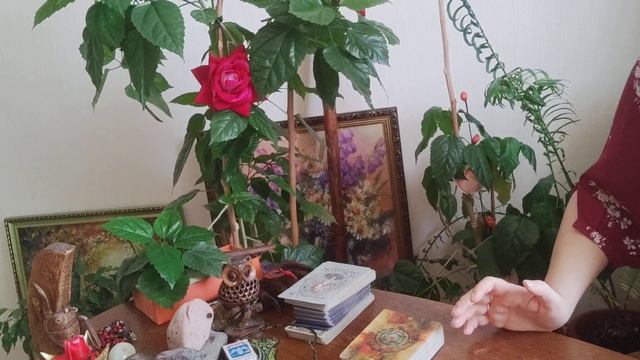 Что читать на Утреннюю и Вечернюю Зарю , на воск или воду над детьми - и о наших предках смотреть онлайн