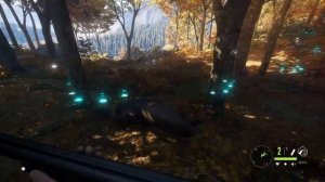 theHunter: Call of the Wild Делаем Трофей Бриллиант