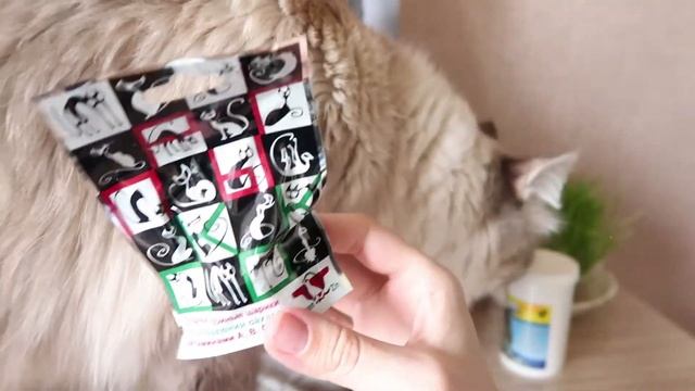 Покупки для домашних животных Purina Pro Plan, Мнямс, Лизун Прыг-Скок, Dreamies ,Фелвит, Гепатовет смотреть онлайн