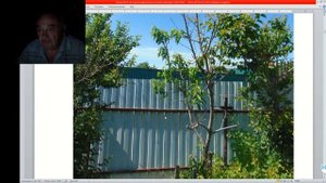 36 ч 02 Персики Минусинские какие они.mp4