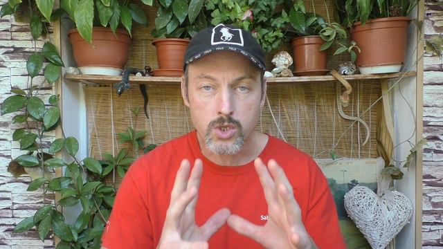 Цикл 2. Притчи Дзен. Притча 13 "Будда" смотреть онлайн