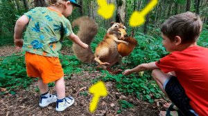 Влог. Кормим белок и гуляем в парке с детьми. Видео для детей.