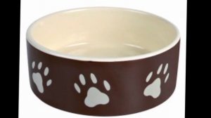 МИСКА для СОБАКИ / как правильно выбрать миску для животного