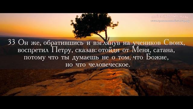 ЕВАНГЕЛИЕ ОТ МАРКА. ЧАСТЬ 15. ОТВЕРГНИСЬ СЕБЯ, И ВОЗЬМИ КРЕСТ СВОЙ, И СЛЕДУЙ ЗА МНОЙ смотреть онлайн