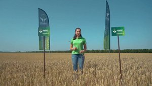 Демоиспытания препаратов для яровой пшеницы на полях ГК "Волго-Дон АГРОИНВЕСТ"