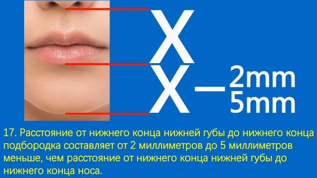 Вертикальное расстояние между верхним концом линии волос и верхним концом брови смотреть онлайн