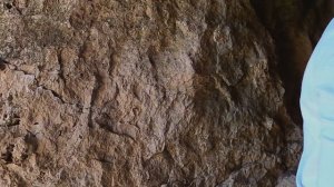 Советск. Кировская область. 2022 год. #природа #2022 #лето