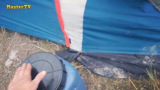 Тайга Алтая. Дикий клондайк шишки! Газ 66 везде пройдёт! часть 2.