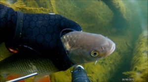 Подводная охота на Урале