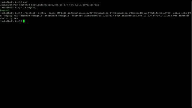 How to Enable HTTPS on a Web Service Hub using Self-signed Certificates смотреть онлайн