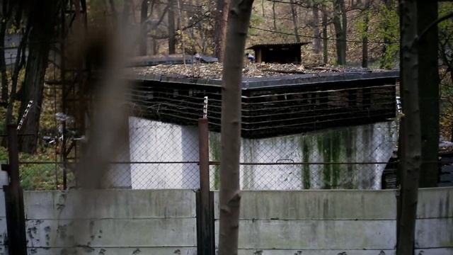 Industar 61LZ f2,8/50mm/Индустар 61 л/з 2.8/50мм смотреть онлайн