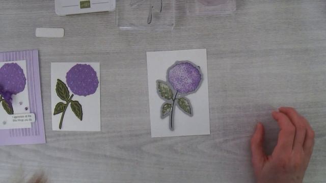 Hydrangea Haven Card смотреть онлайн