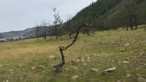 Едем в устье реки Анга (Ольхонский район) к метеоритному озеру на Байкале